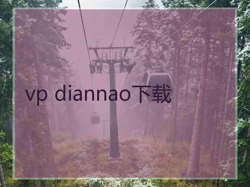 vp diannao下载