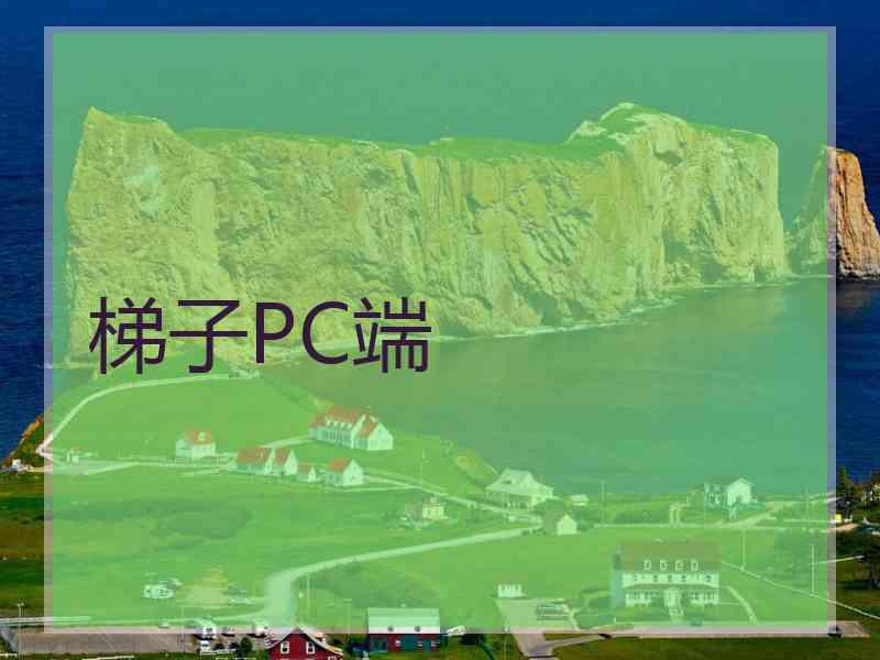梯子PC端