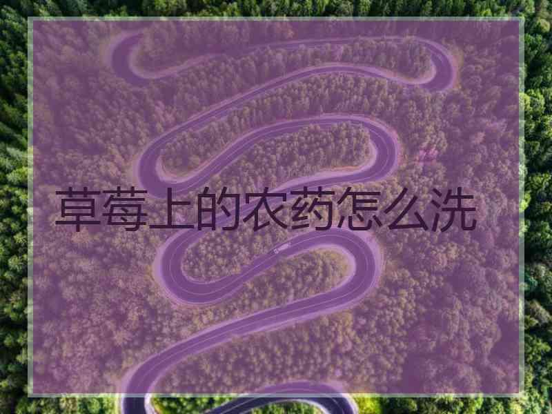 草莓上的农药怎么洗