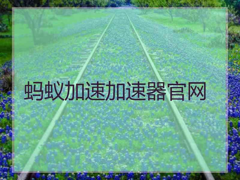 蚂蚁加速加速器官网