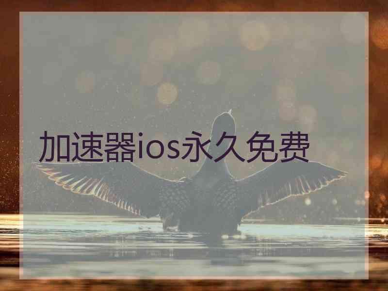 加速器ios永久免费