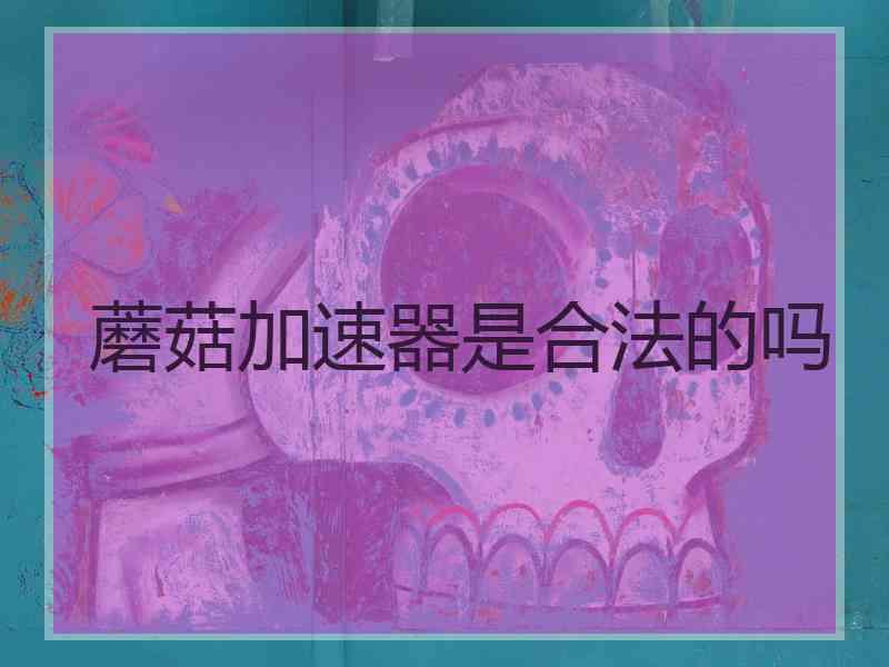蘑菇加速器是合法的吗