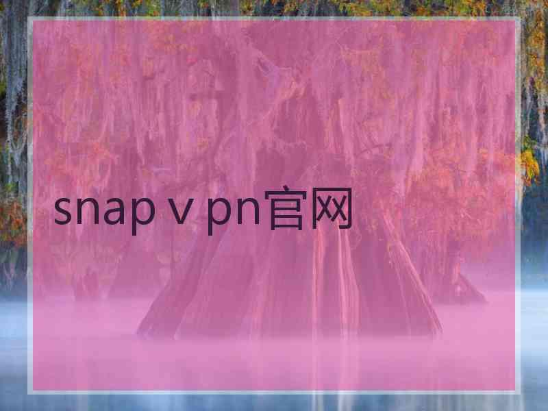 snapⅴpn官网