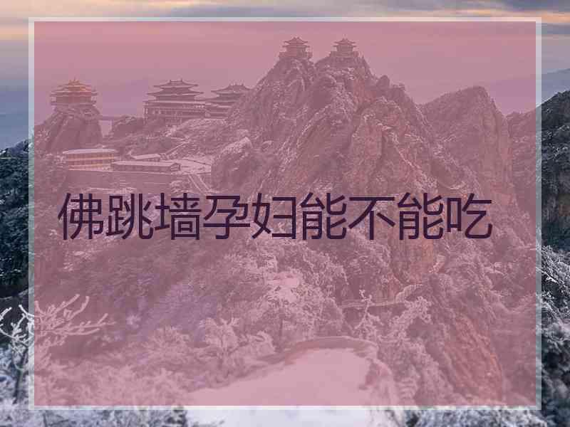 佛跳墙孕妇能不能吃