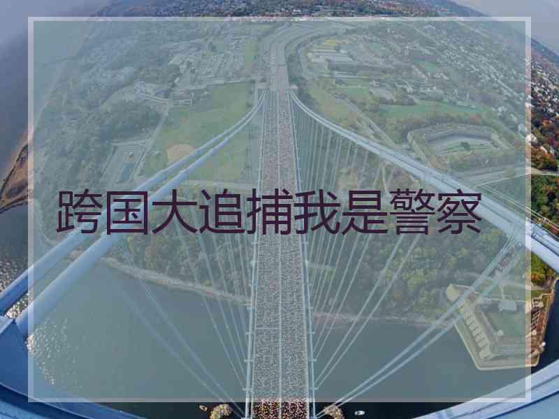 跨国大追捕我是警察