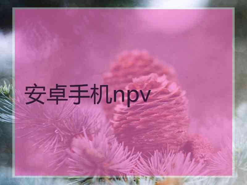 安卓手机npv