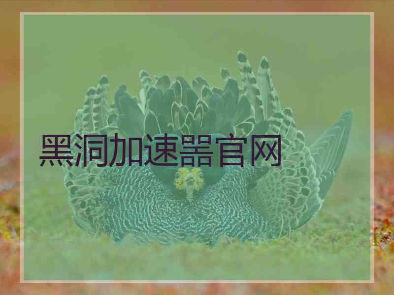 黑洞加速噐官网