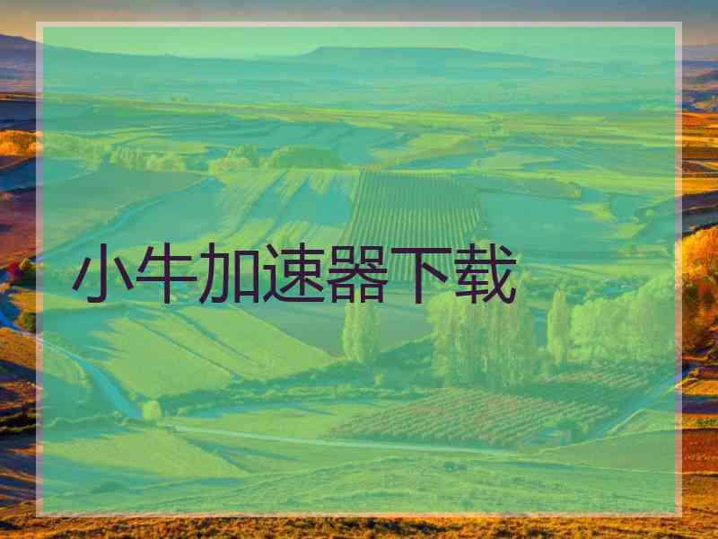 小牛加速器下载