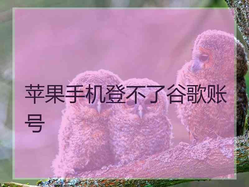 苹果手机登不了谷歌账号