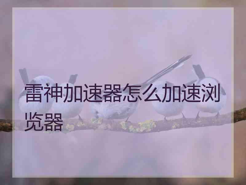 雷神加速器怎么加速浏览器