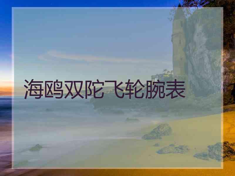 海鸥双陀飞轮腕表