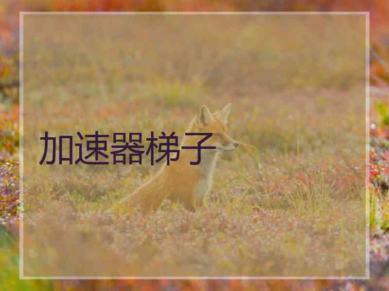 加速器梯子