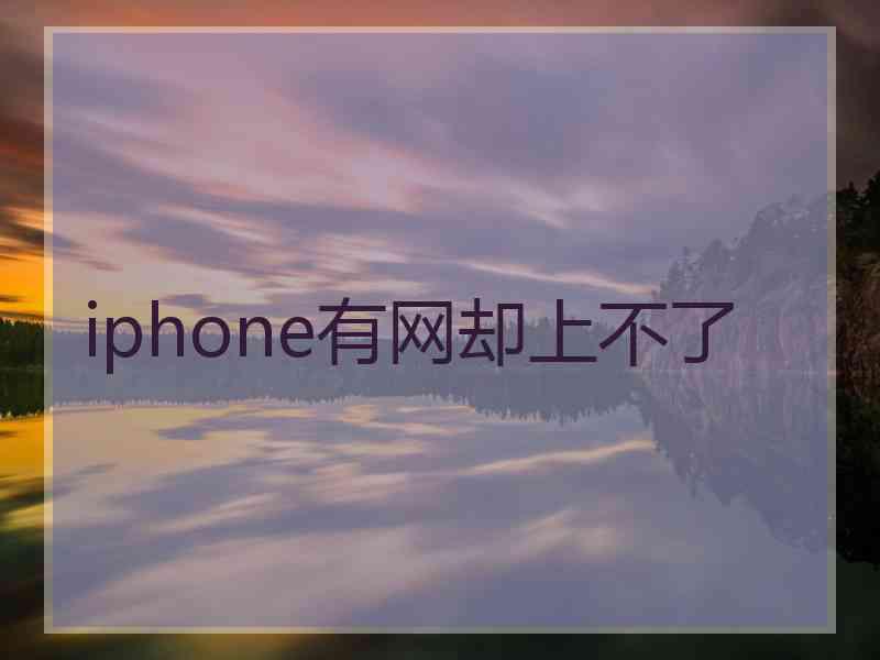 iphone有网却上不了