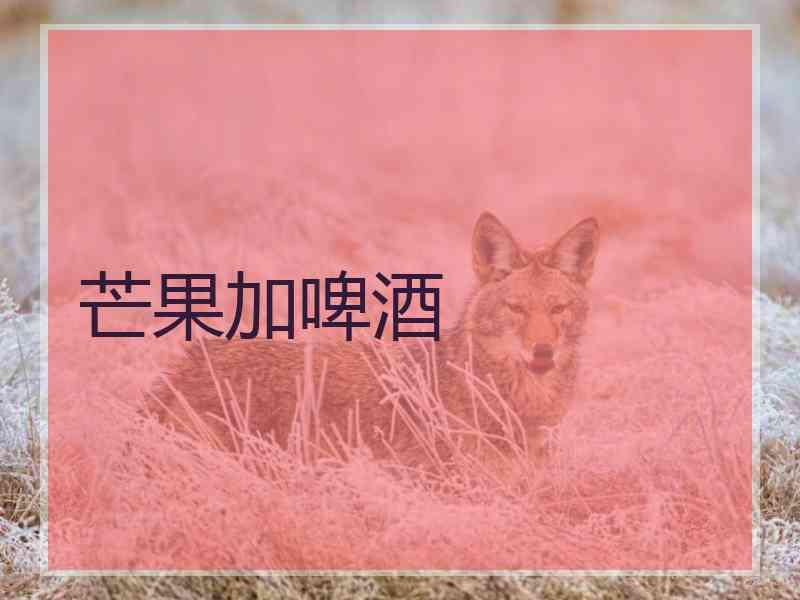 芒果加啤酒