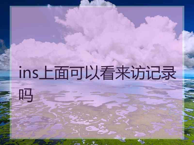 ins上面可以看来访记录吗
