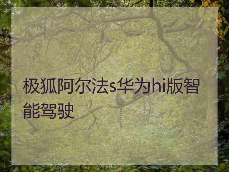 极狐阿尔法s华为hi版智能驾驶
