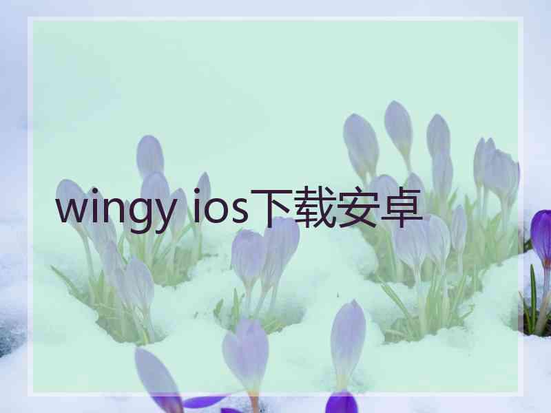 wingy ios下载安卓