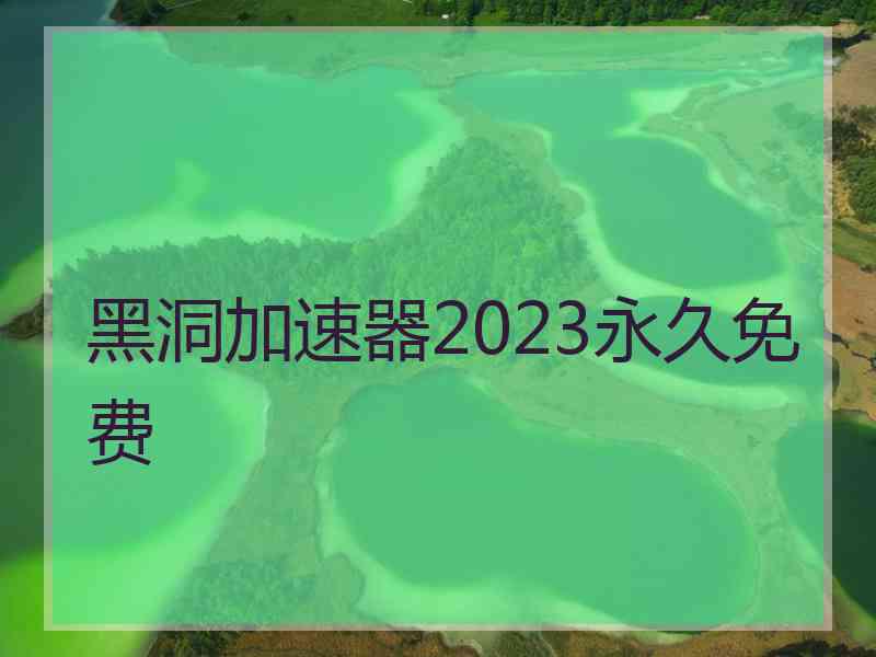 黑洞加速器2023永久免费