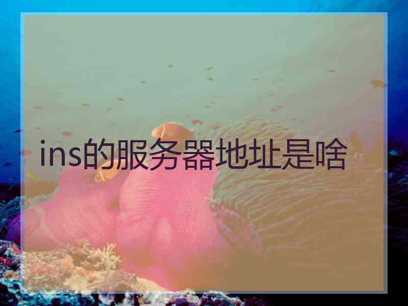 ins的服务器地址是啥