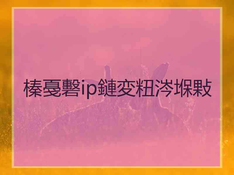 榛戞礊ip鏈変粈涔堢敤