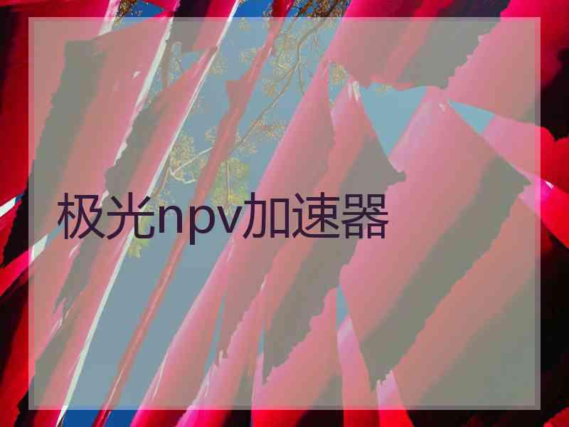 极光npv加速器