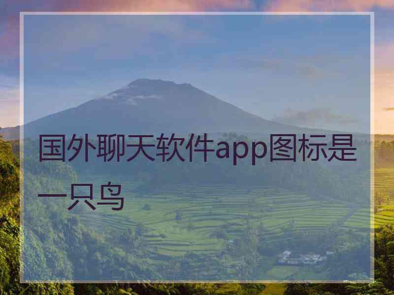 国外聊天软件app图标是一只鸟