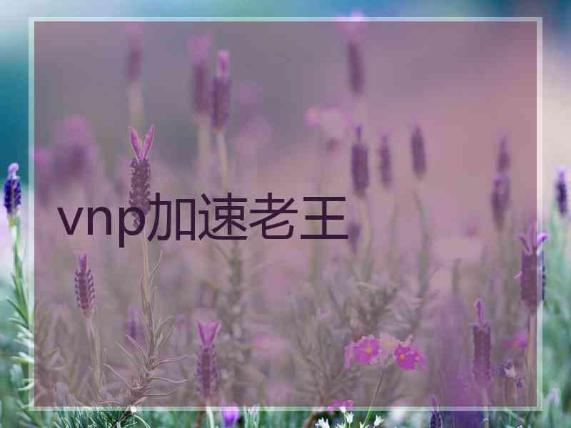 vnp加速老王