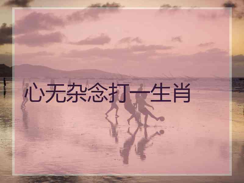 心无杂念打一生肖