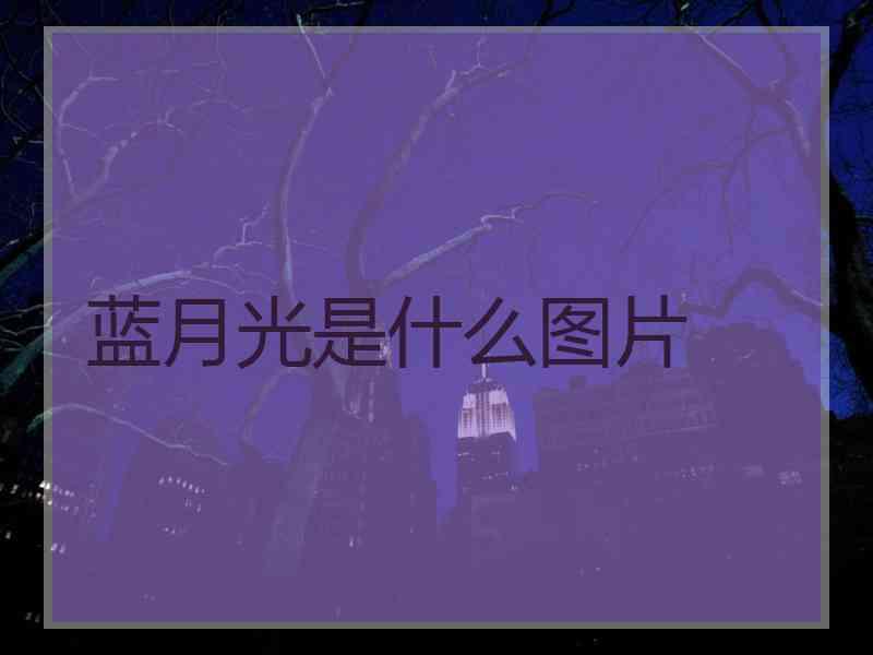 蓝月光是什么图片