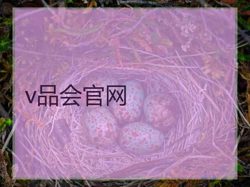 v品会官网