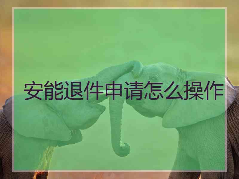 安能退件申请怎么操作