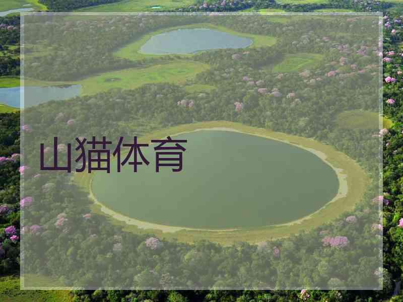 山猫体育