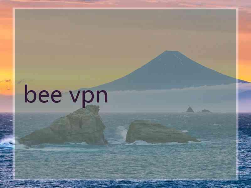 bee vpn