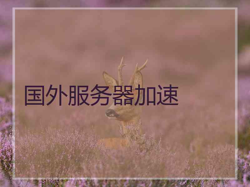国外服务器加速
